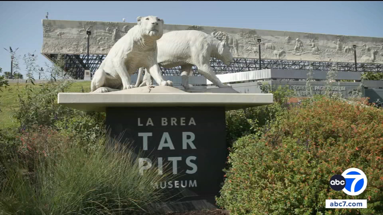 La Brea Tar Pits to host disco party before temporarily closing for 2-year renovation