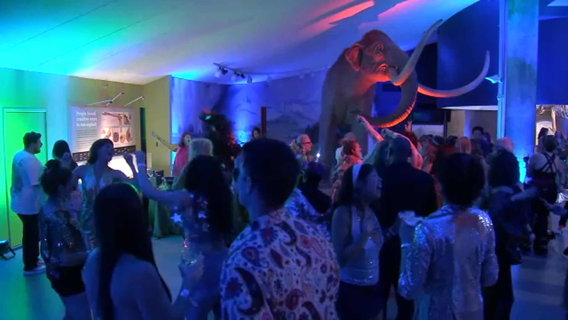 La Brea Tar Pits hosts farewell disco party before temporarily closing for 2-year renovation