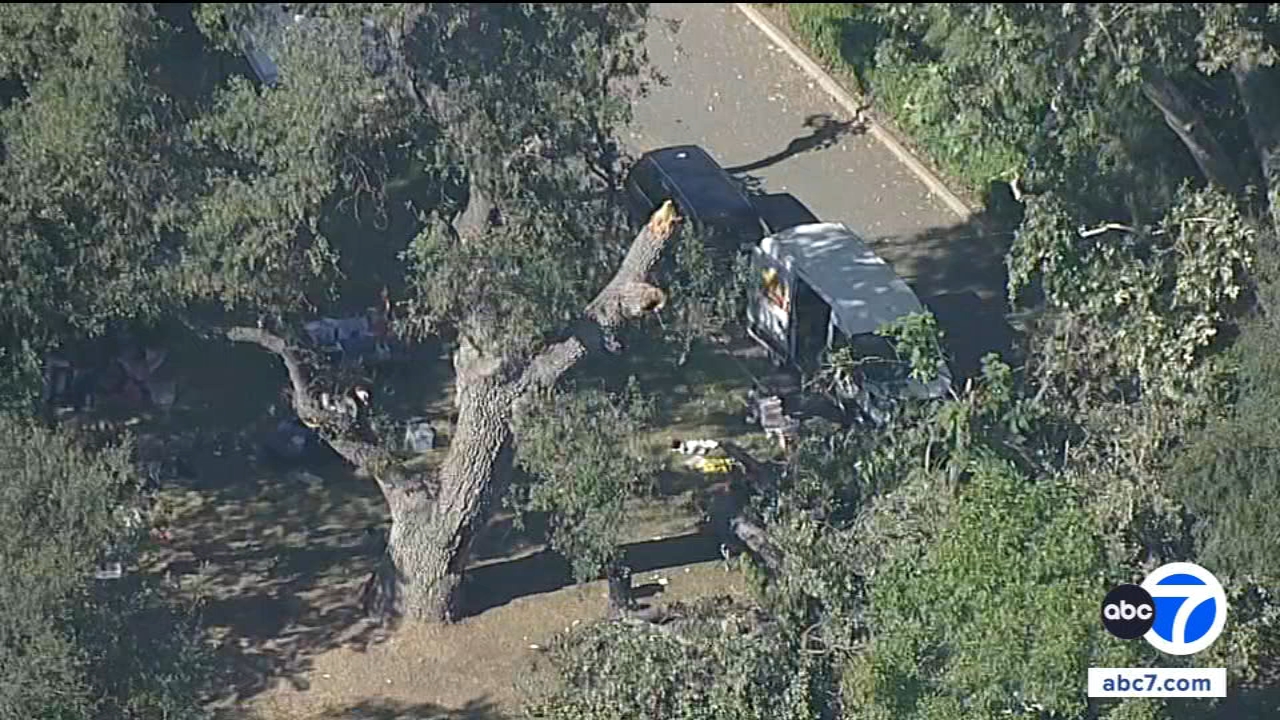 $19.3-million settlement reached after boy killed by falling tree branch in Calabasas, report says